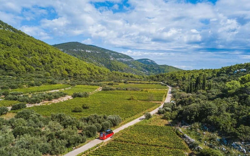From Korcula Town: Local Wine & Sightseeing Half-Day Tour - Who Should Consider This Tour?