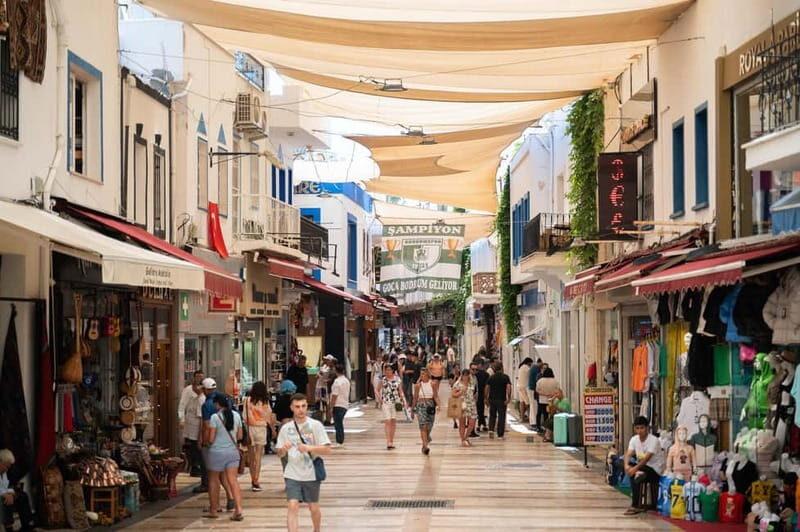 From Kos: A day ride to Bodrum with comfortable transfer - Authentic Experience & Cultural Insight