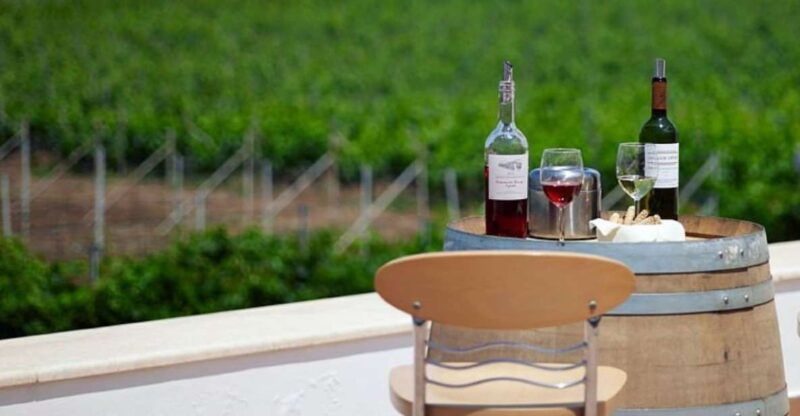 from-kos-tour-of-2-wineries-with-wine-tasting-small-bites
