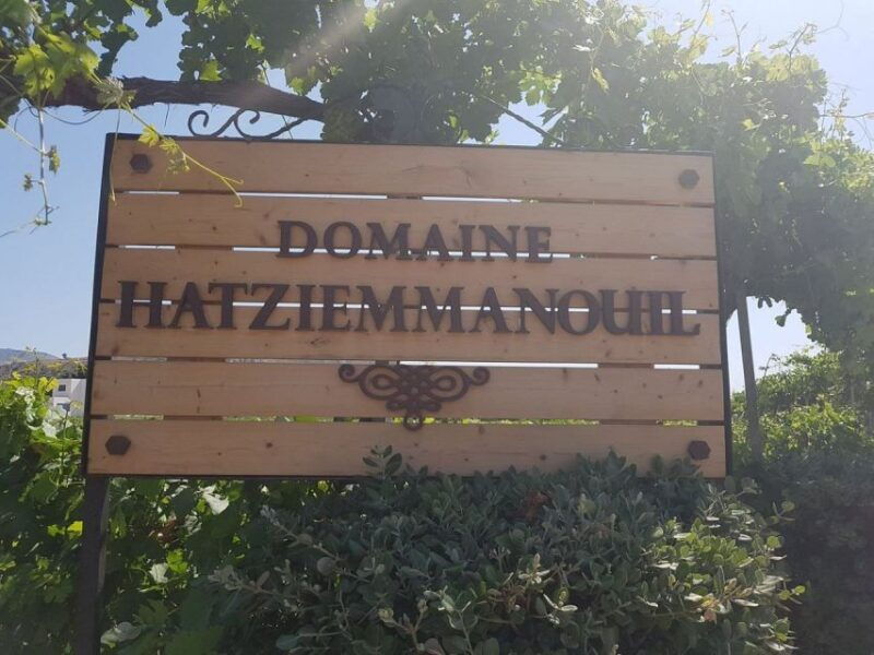 from-kos-tour-of-2-wineries-with-wine-tasting-small-bites