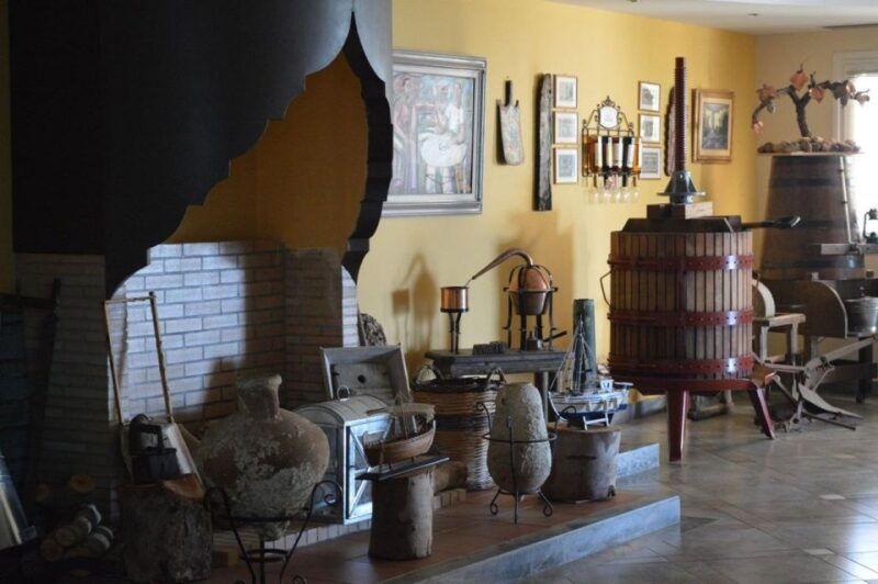 from-kos-tour-of-2-wineries-with-wine-tasting-small-bites