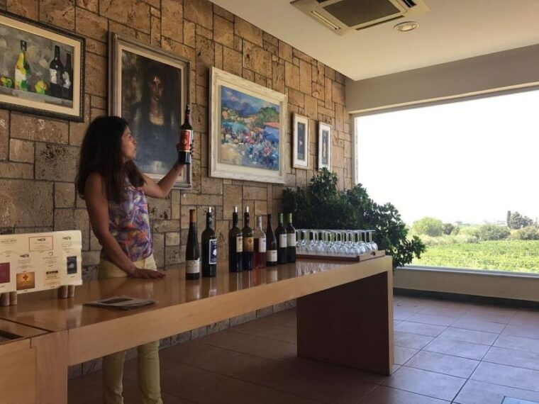 from-kos-tour-of-2-wineries-with-wine-tasting-small-bites