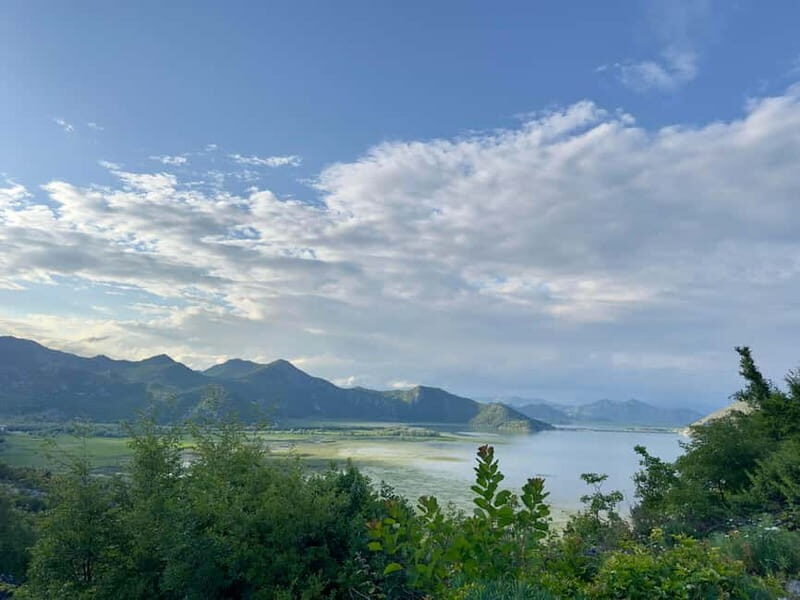 From Kotor and Tivat: Private Tour to Skadar Lake - A Detailed Look at the Private Tour to Skadar Lake