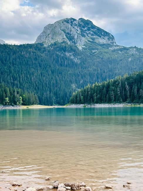 From Kotor: Durmitor National Park and Tara Bridge Day Trip - Authentic Insights from Past Travelers