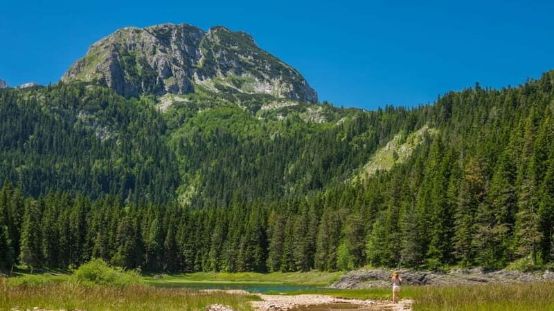 From Kotor: Hiking Day Trip in Durmitor Massif & Dining - Who Will Love This Tour?