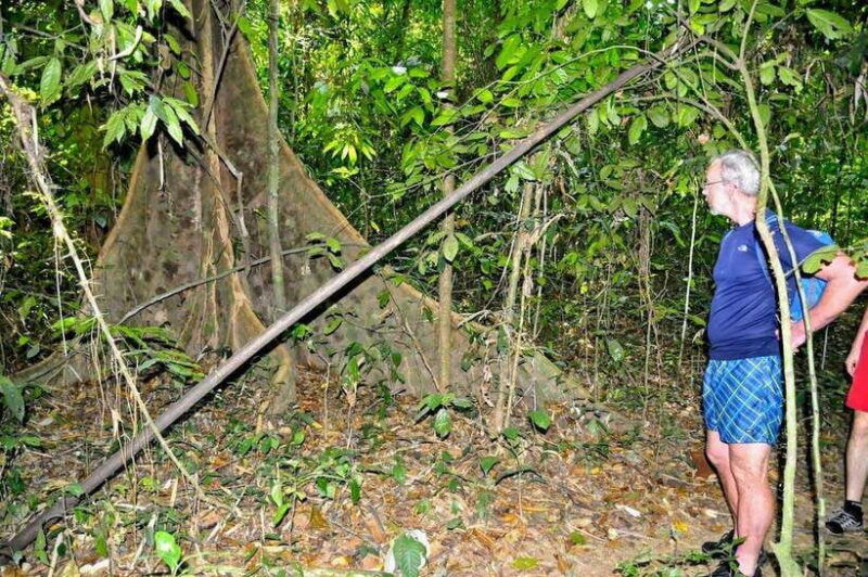 from-krabi-1-day-khao-sok-2-day-cheow-lan-lake-safari
