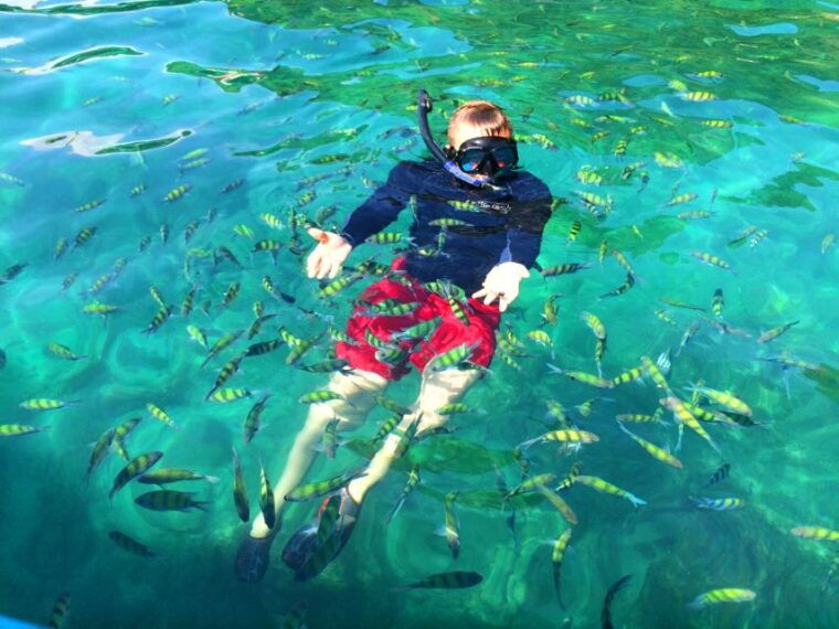 from-krabi-4-islands-snorkeling-tour-by-speed-boat