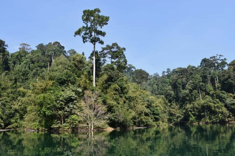 From Krabi: Cheow Lan Lake Cruise and Khao Sok Jungle Hike - Possible Drawbacks or Considerations