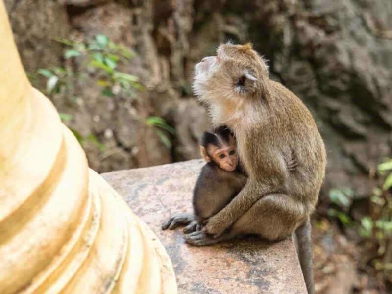 From Krabi: James Bond Island & Phang Nga Bay Tour - The Sum Up: Who Will Love This Tour?