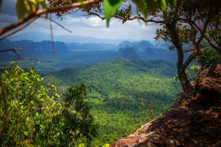 from-krabi-khao-ngon-nak-trekking-experience