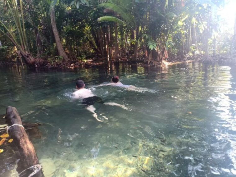 from-krabi-khao-ngon-nak-trekking-experience