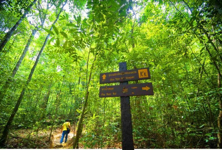 from-krabi-khao-ngon-nak-trekking-experience