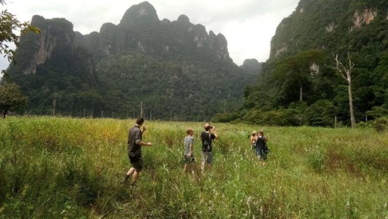 from-krabi-khao-sok-cheow-lan-lake-day-trip