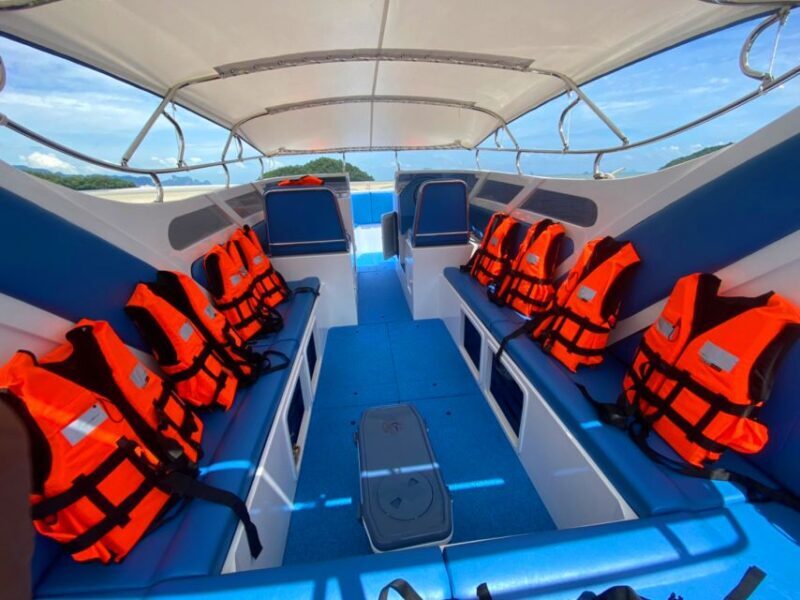 From Krabi: Phi Phi Island Full-Day Private Speed Boat Tour - Key Points