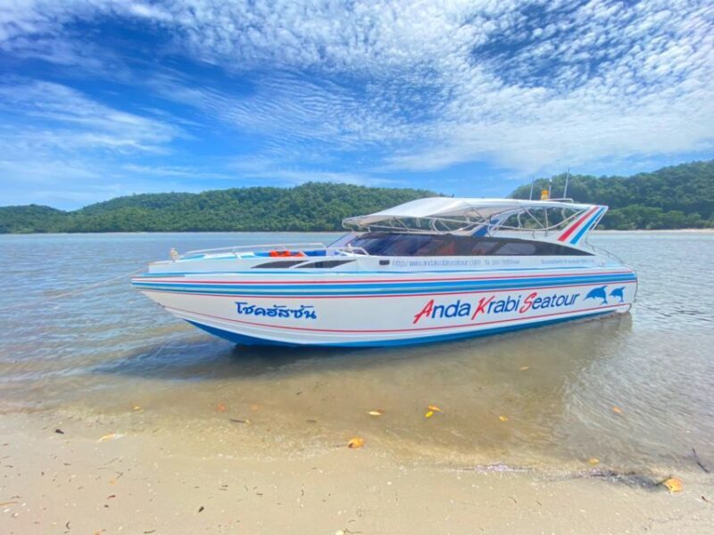 From Krabi: Phi Phi Island Full-Day Private Speed Boat Tour - An In-Depth Look at the Phi Phi Private Speedboat Tour