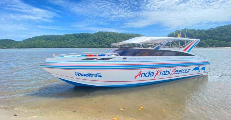 From Krabi: Phi Phi Island Full-Day Private Speed Boat Tour - FAQ
