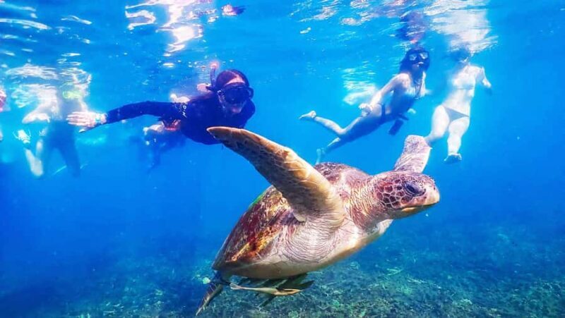 From Krabi: Surin Islands Snorkeling Tour w/ Meals - Key Points