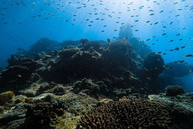 From Krabi to Phi Phi Islands Speedboat Day Tour - The Itinerary: What You’ll Actually Experience