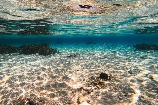 From Krabi to Phi Phi Islands Speedboat Day Tour - FAQ