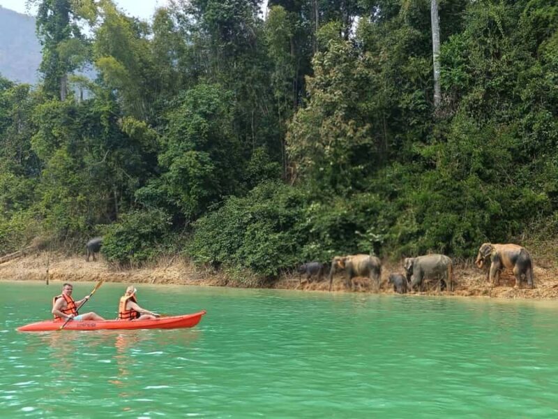From Krabi: Unforgettable Full-Day Khao Sok Lake Adventure - A Closer Look at the Khao Sok Lake Full-Day Tour