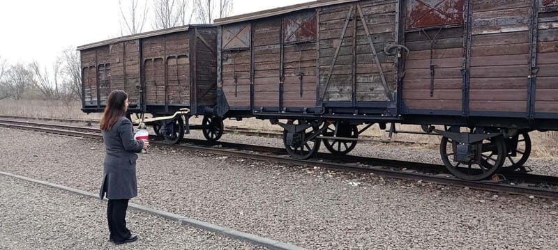 From Kracow: Auschwitz Complex Alternative Tour - Who Will Love This Tour?