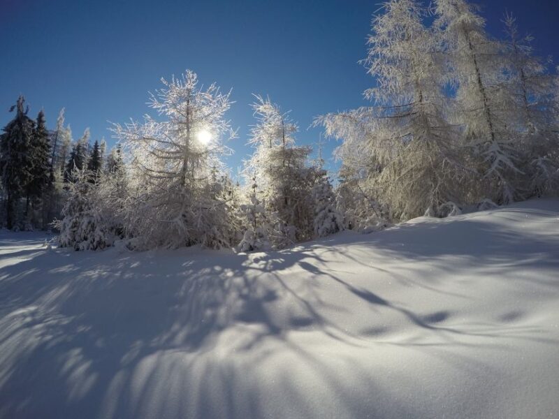 From Krakow: 3-Hour Skiing Experience Suitable for Beginners - The Sum Up: Who Will Enjoy This Experience?