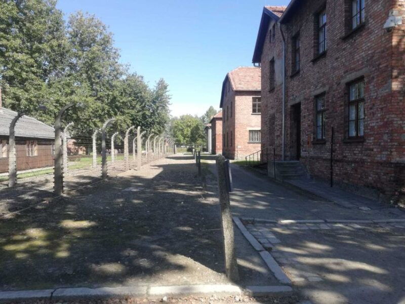 from-krakow-auschwitz-birkenau-and-self-guided-day-tour