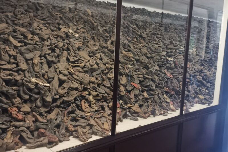 from-krakow-auschwitz-birkenau-camp-complex-guided-day-trip