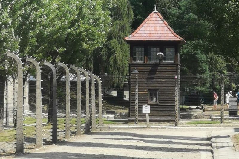 from-krakow-auschwitz-birkenau-camp-complex-guided-day-trip