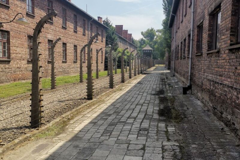 from-krakow-auschwitz-birkenau-camp-complex-guided-day-trip