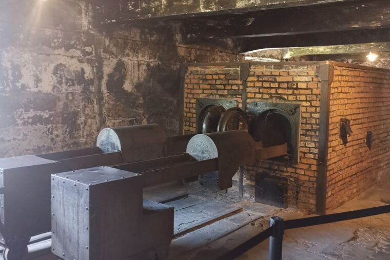 from-krakow-auschwitz-birkenau-camp-complex-guided-day-trip