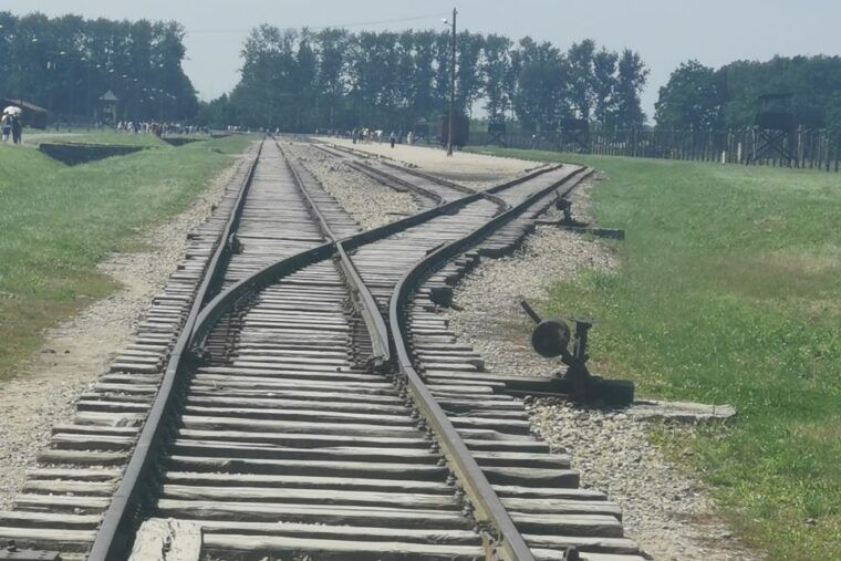 from-krakow-auschwitz-birkenau-camp-complex-guided-day-trip