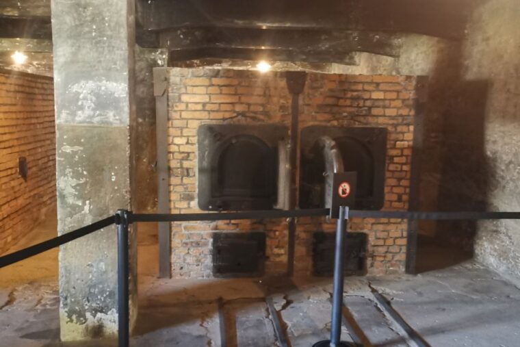 from-krakow-auschwitz-birkenau-camp-complex-guided-day-trip