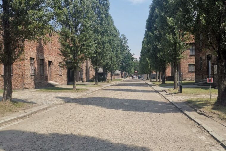 from-krakow-auschwitz-birkenau-camp-complex-guided-day-trip