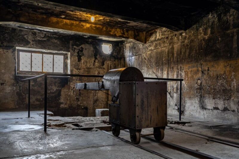 from-krakow-auschwitz-birkenau-full-day-guided-tour