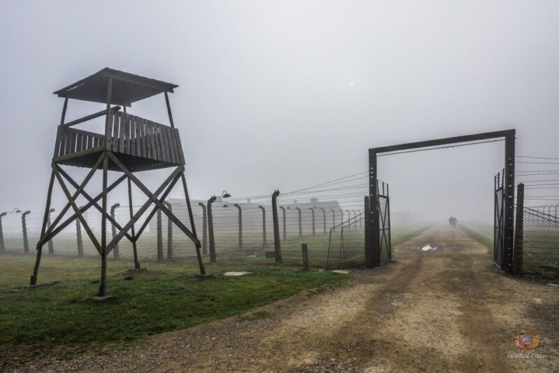 From Krakow: Auschwitz-Birkenau Guided Tour & Hotel Pickup - Insights from Reviewers