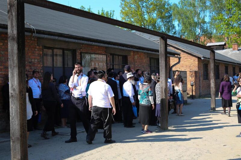 from-krakow-auschwitz-birkenau-guided-tour-pickup-options