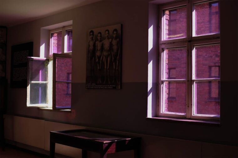 from-krakow-auschwitz-birkenau-guided-tour-pickup-options