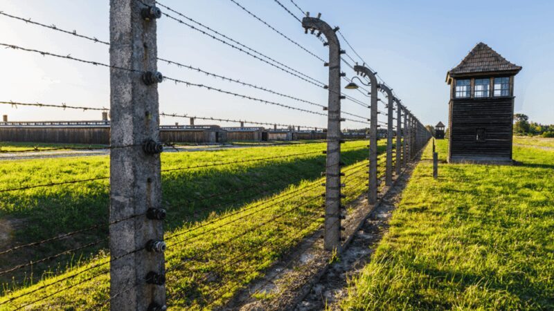 From Krakow: Auschwitz-Birkenau Guided Tour, Several Options - What’s Included and What’s Not
