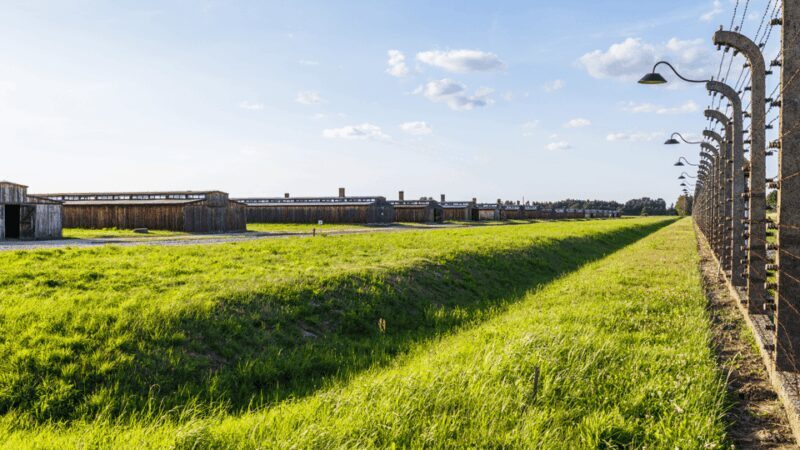 From Krakow: Auschwitz-Birkenau Guided Tour, Several Options - The Experience on the Ground