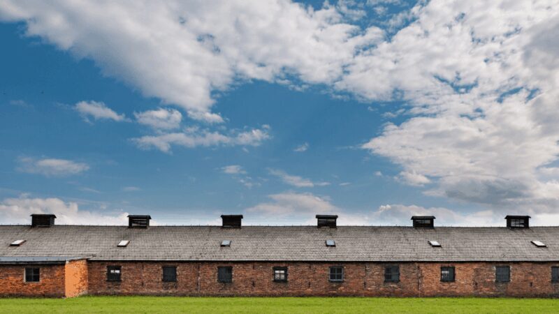 From Krakow: Auschwitz-Birkenau Guided Tour, Several Options - Practical Tips for Visitors