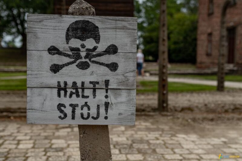 From Krakow: Auschwitz-Birkenau Guided Tour, Several Options - Final Thoughts