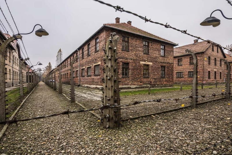 From Krakow: Auschwitz-Birkenau Guided Tour & Transportation - Transportation and Logistics