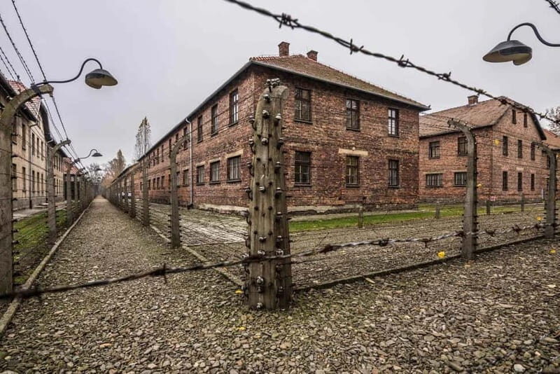From Krakow: Auschwitz-Birkenau Guided Tour with Transfer - What to Expect from the Auschwitz-Birkenau Guided Tour