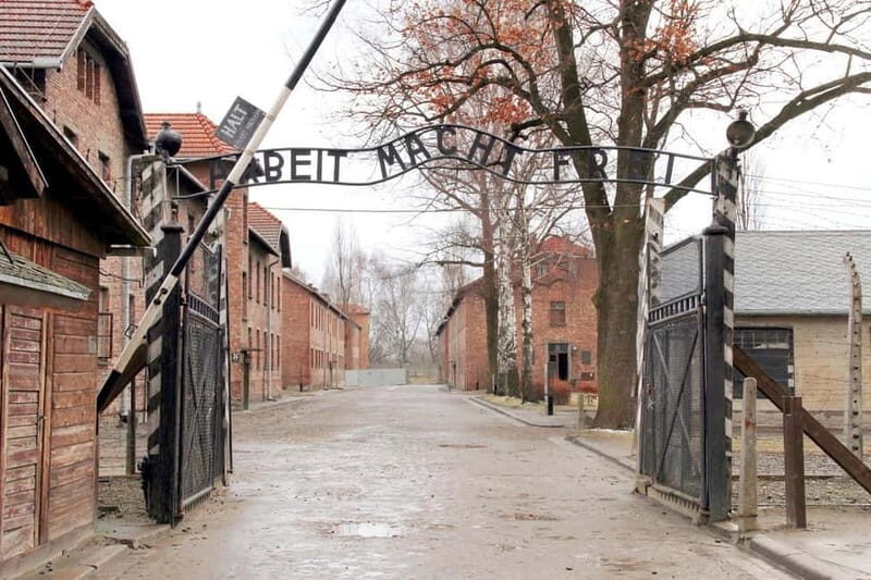 From Krakow: Auschwitz-Birkenau Memorial and Museum Tour - The Experience and What You Can Expect