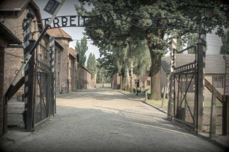 from-krakow-auschwitz-birkenau-private-or-shared-tour