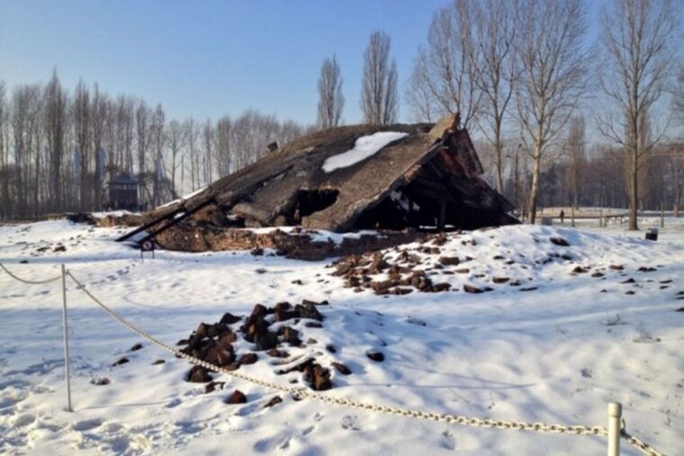 from-krakow-auschwitz-birkenau-private-or-shared-tour