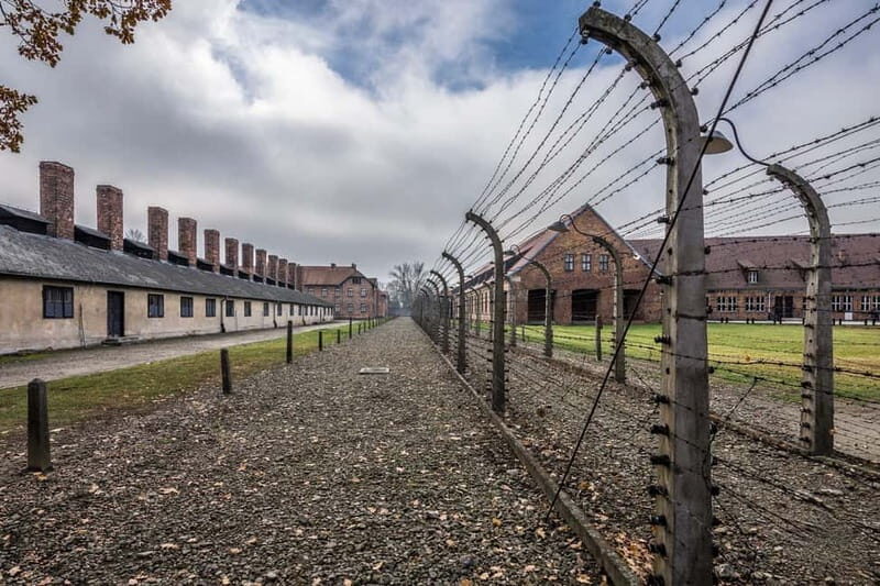 From Krakow: Auschwitz-Birkenau Tour with Transfer - A Detailed Look at the Auschwitz-Birkenau Tour
