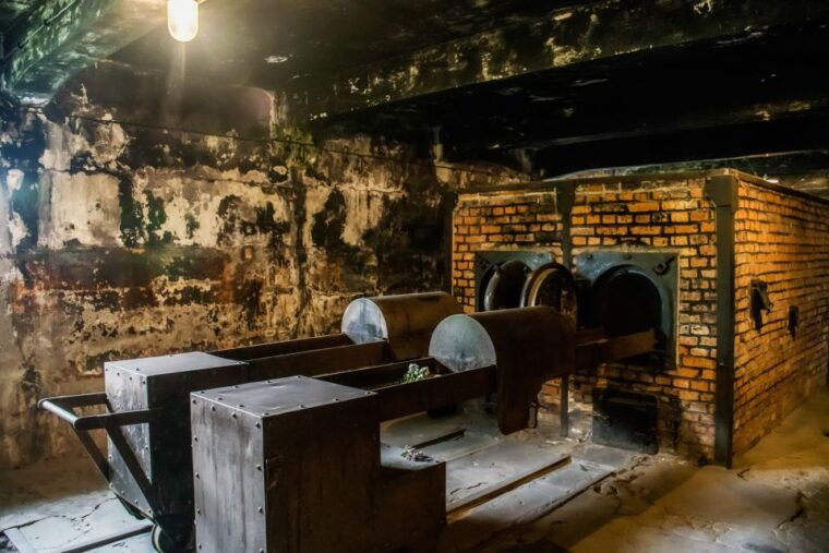 from-krakow-auschwitz-birkenau-tour-with-transportation