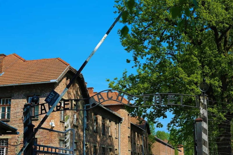 From Krakow: Auschwitz Museum and Wieliczka Salt Mine Tour - Practical Considerations